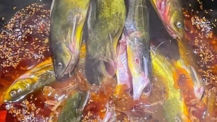 正版澳门管家婆资料大全2025,中美将合拍猫和老鼠,精准解释落实及其象征意义_标配版V6.64