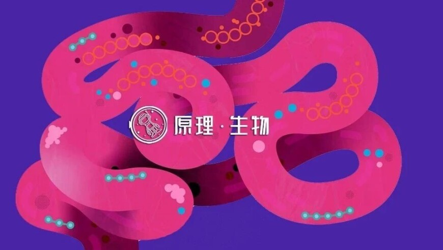 管家婆期准准精选大全2025,TES战胜JDG晋级决赛,最新答案解释落实_游戏版V10.33