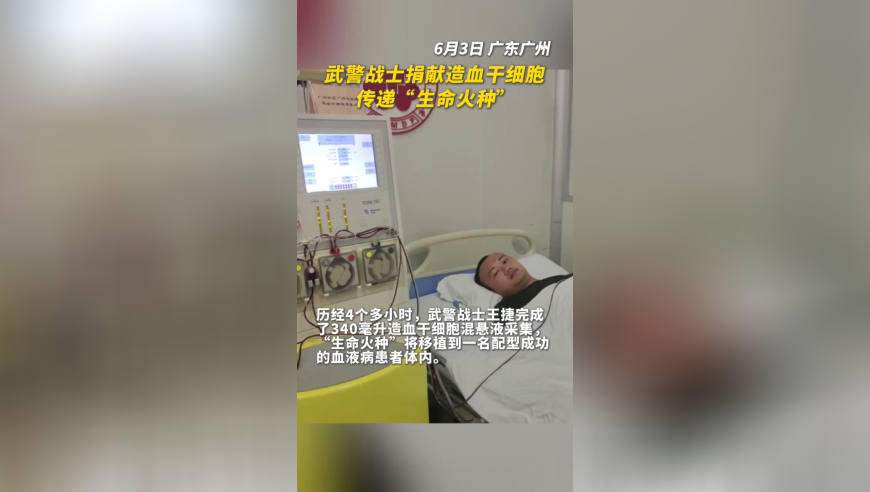 四肖四码精准资料期期准,郭涛儿子参加北电艺考,详细释义解释落实_AndroidV4.75